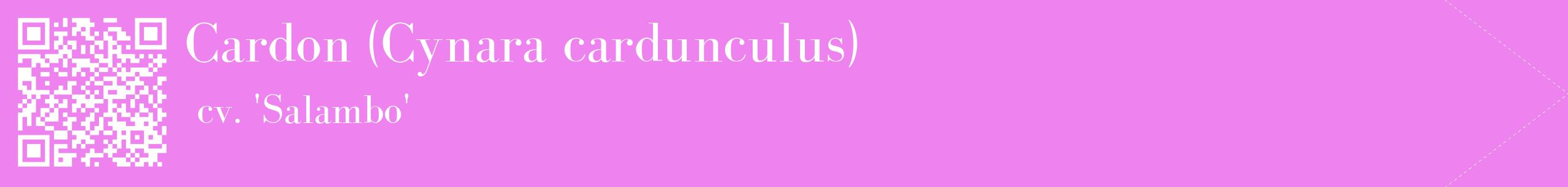 étiquette 2