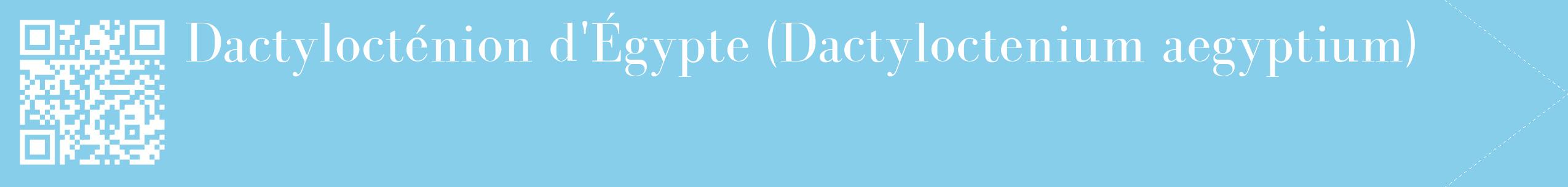 étiquette 2