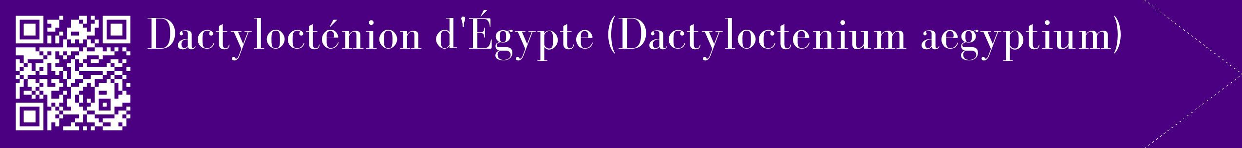 étiquette 2