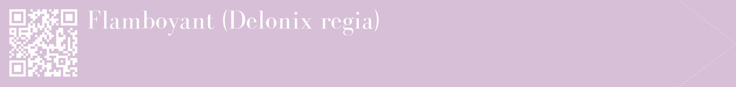 étiquette 2
