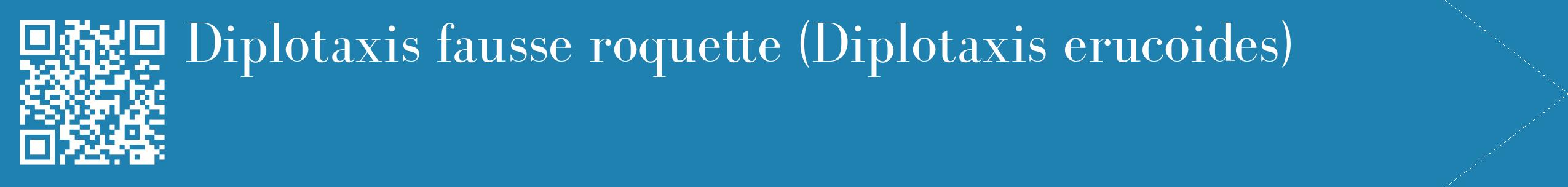étiquette 2