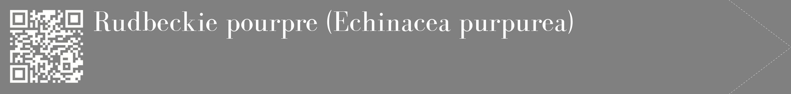 étiquette 2