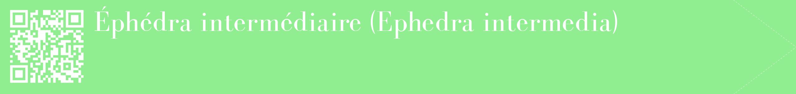 étiquette 2