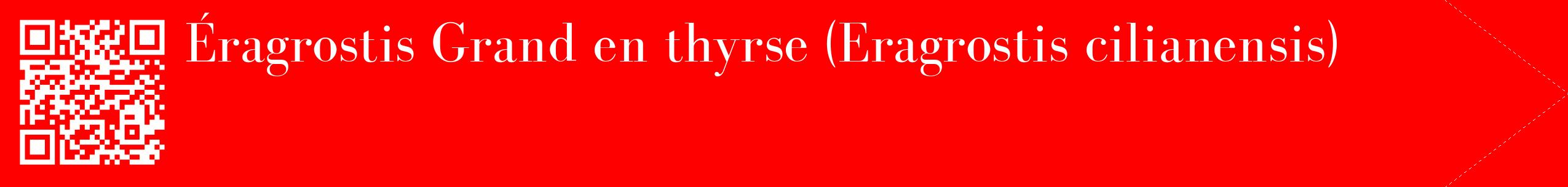 étiquette 2