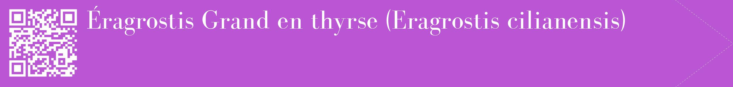 étiquette 2