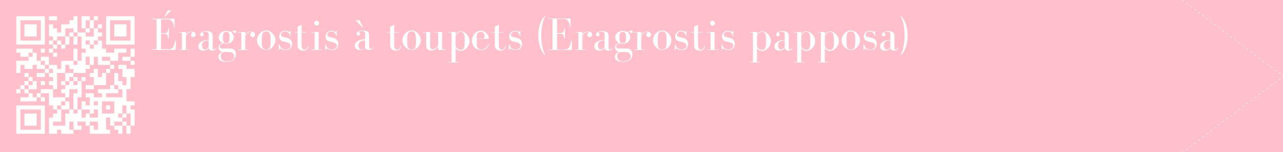 étiquette 2