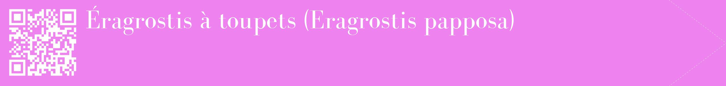 étiquette 2