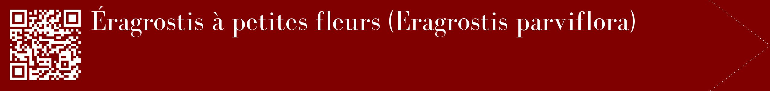 étiquette 2