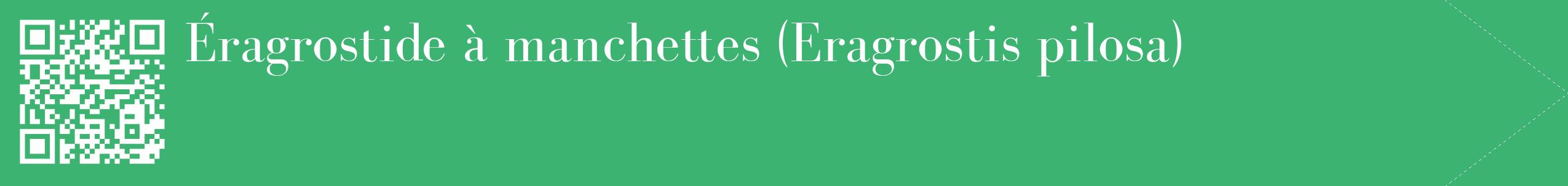 étiquette 2