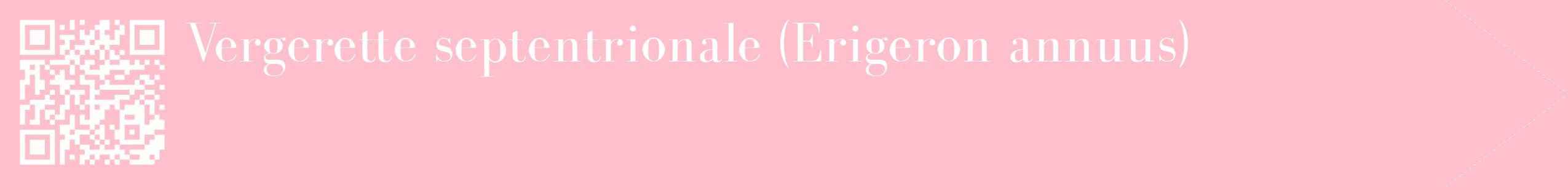 étiquette 2