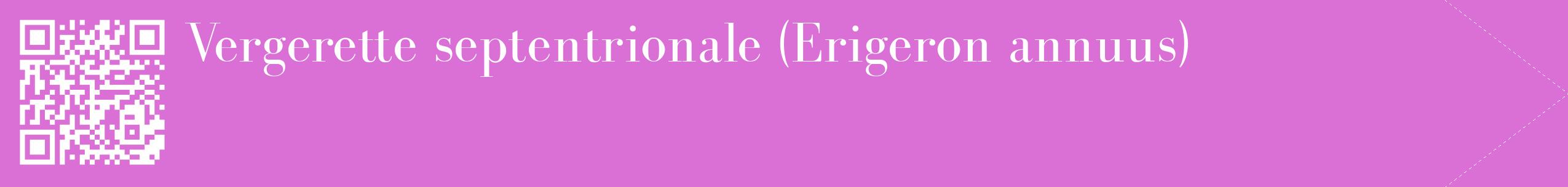 étiquette 2