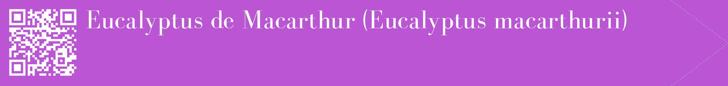 étiquette 2