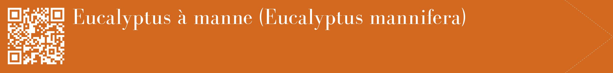 étiquette 2