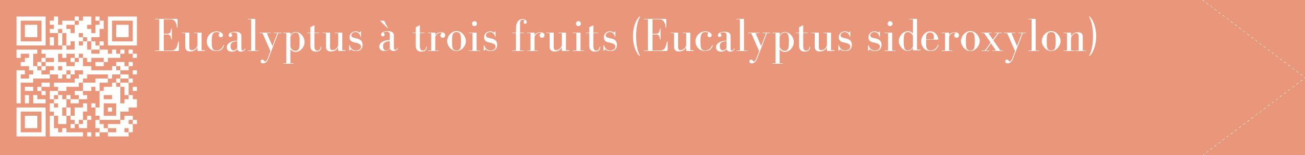 étiquette 2