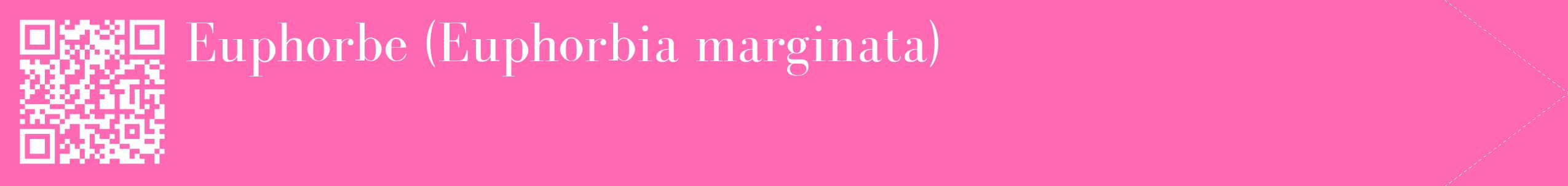 étiquette 2