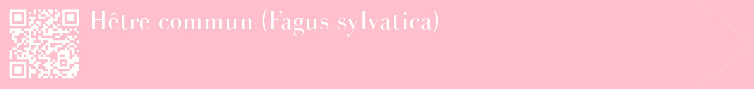 étiquette 2