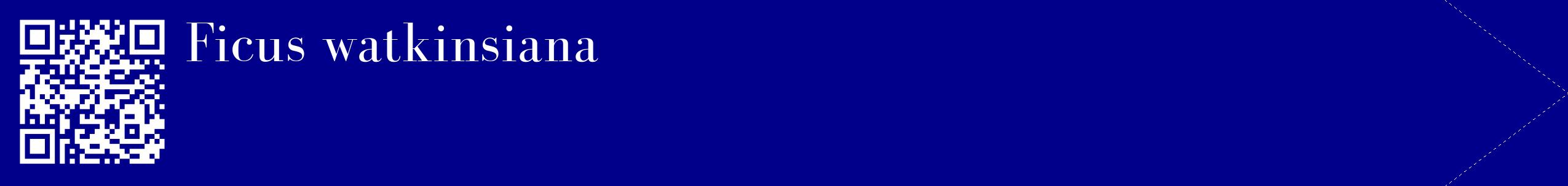 étiquette 2
