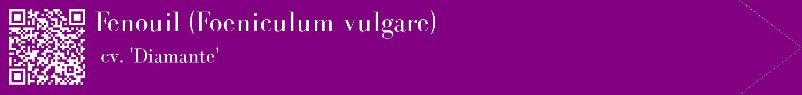 étiquette 2