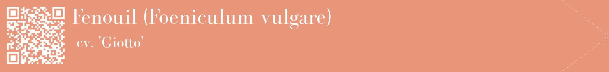 étiquette 2