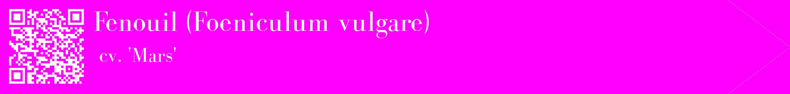 étiquette 2