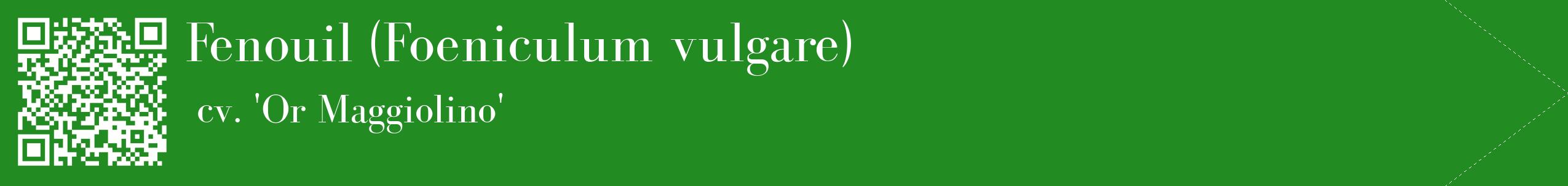 étiquette 2