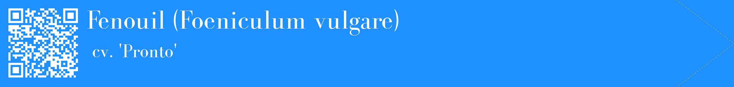 étiquette 2