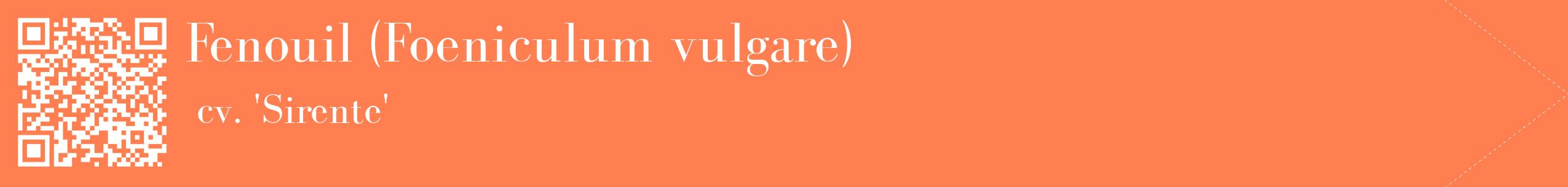 étiquette 2