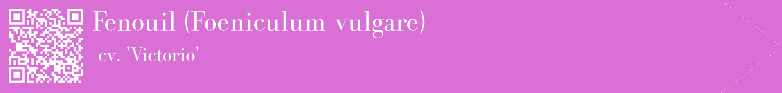 étiquette 2