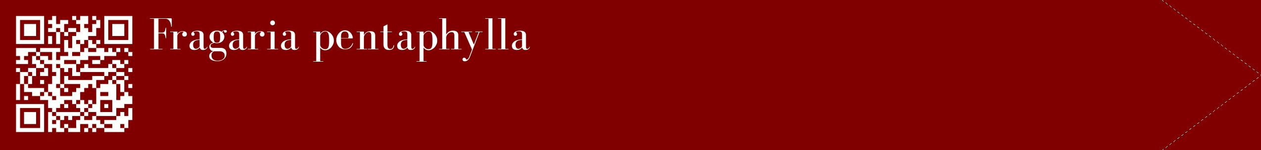 étiquette 2