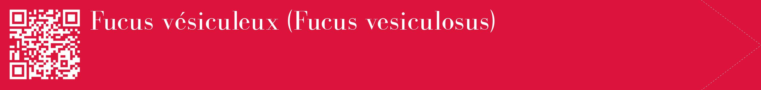 étiquette 2