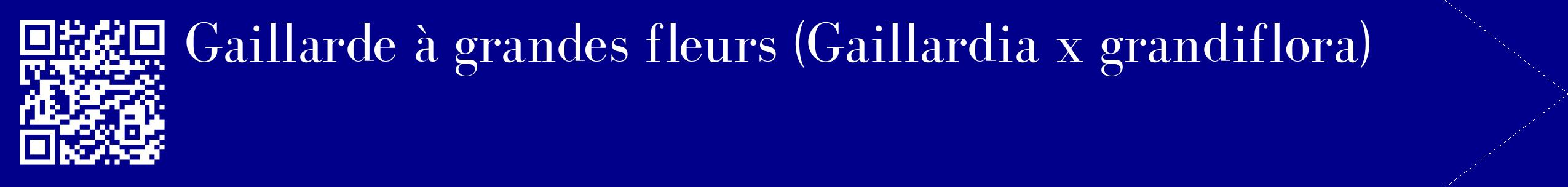 étiquette 2