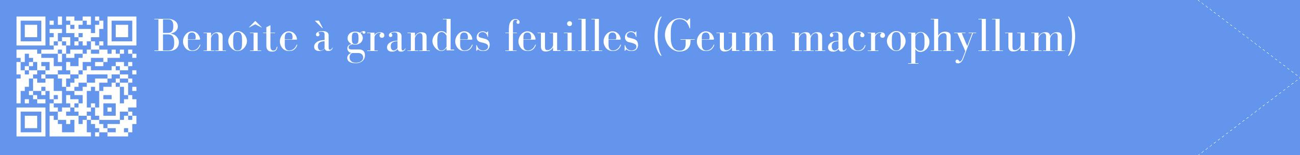 étiquette 2