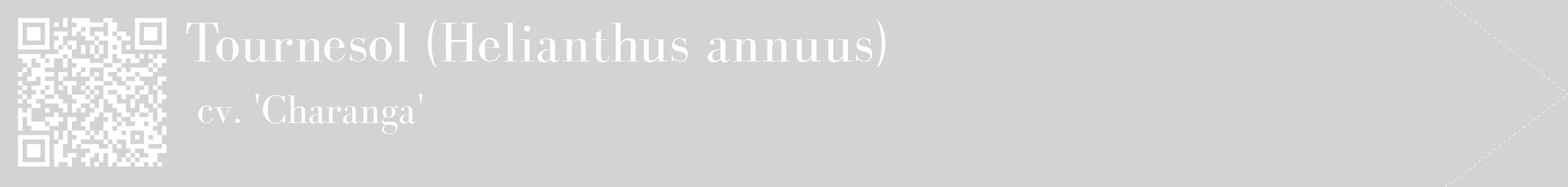 étiquette 2
