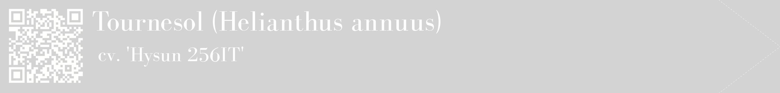 étiquette 2
