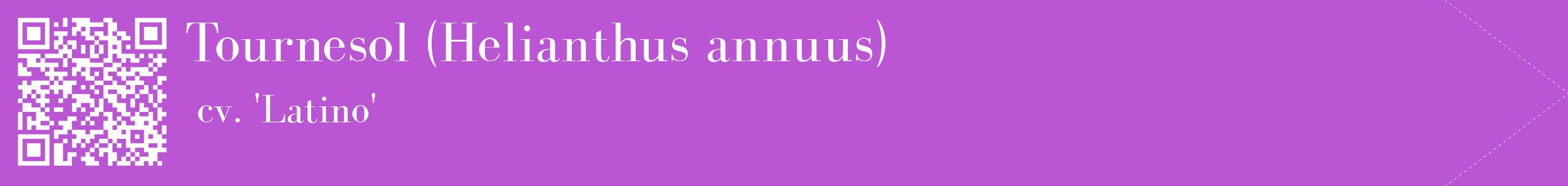 étiquette 2