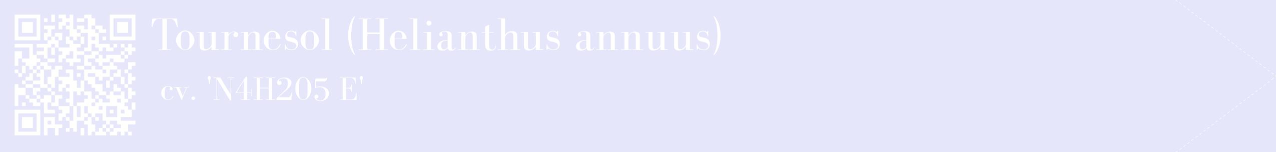 étiquette 2