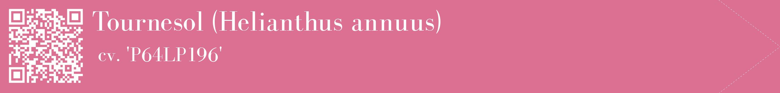 étiquette 2
