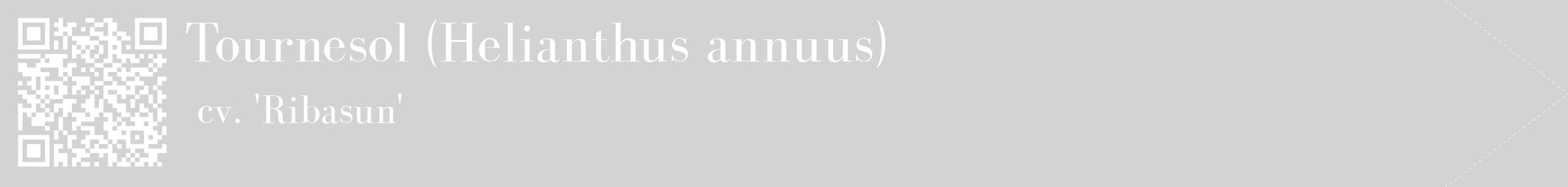 étiquette 2