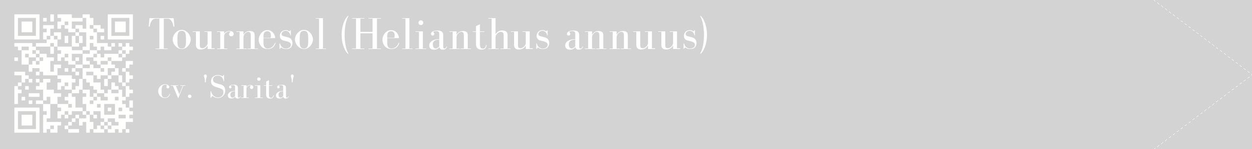 étiquette 2