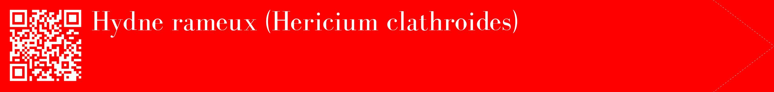 étiquette 2