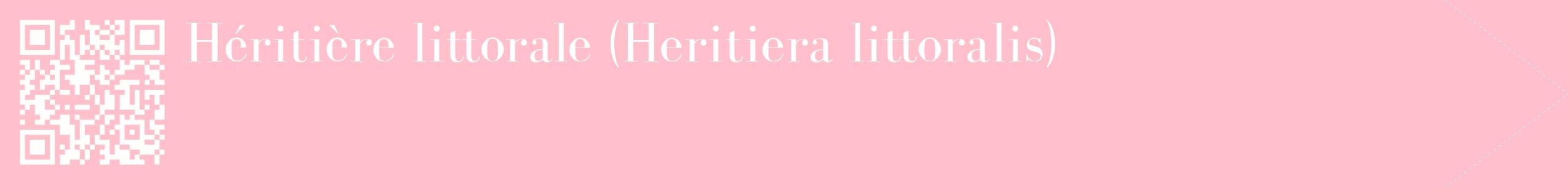 étiquette 2