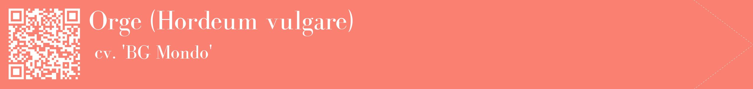 étiquette 2