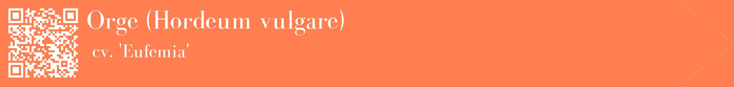 étiquette 2