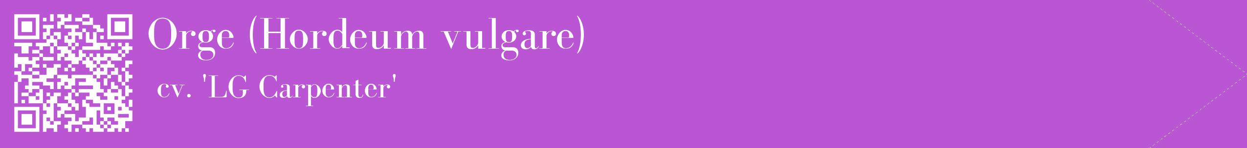étiquette 2