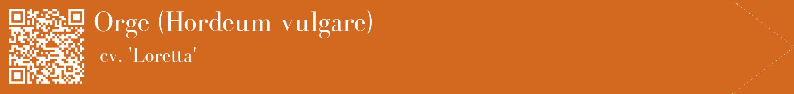 étiquette 2