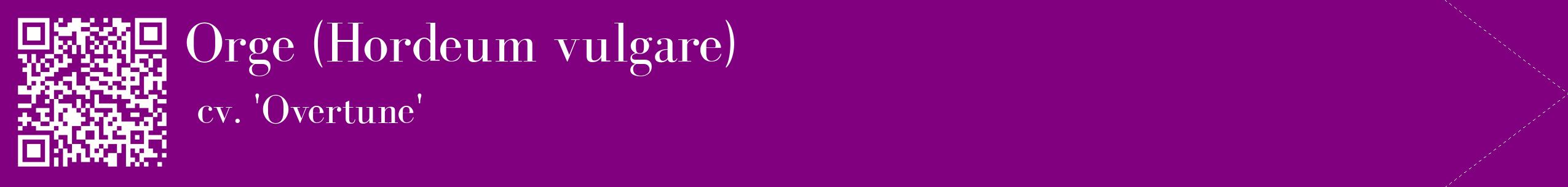 étiquette 2