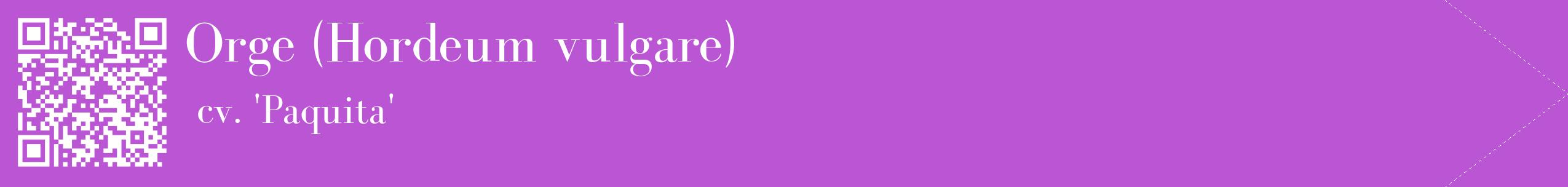 étiquette 2