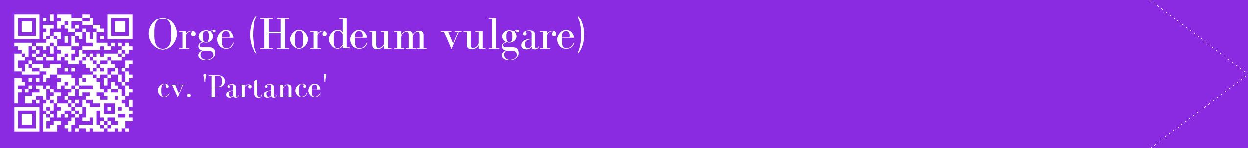 étiquette 2