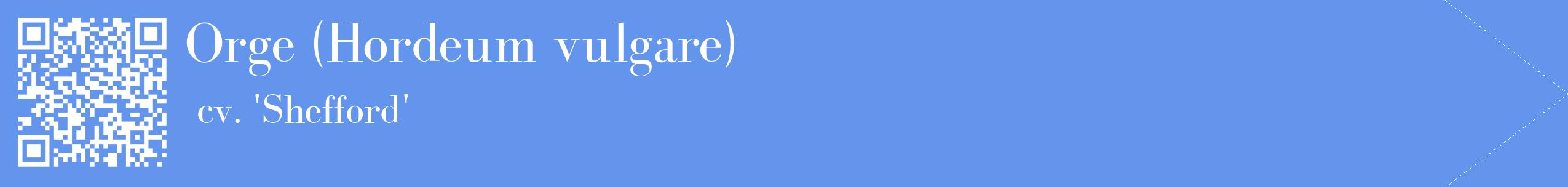 étiquette 2