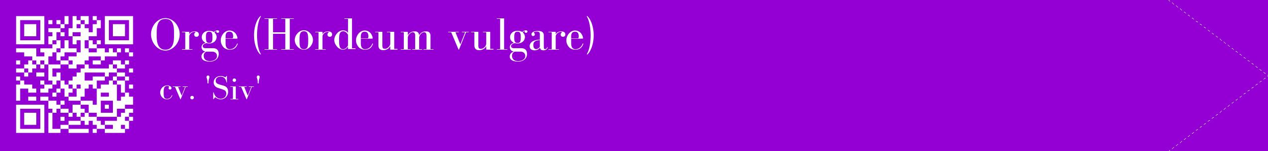 étiquette 2